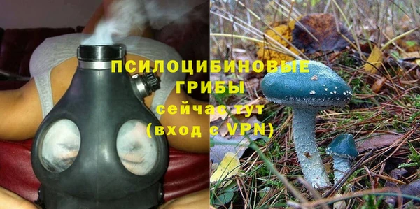 прущая мука Гусев