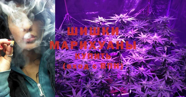 прущая мука Гусев